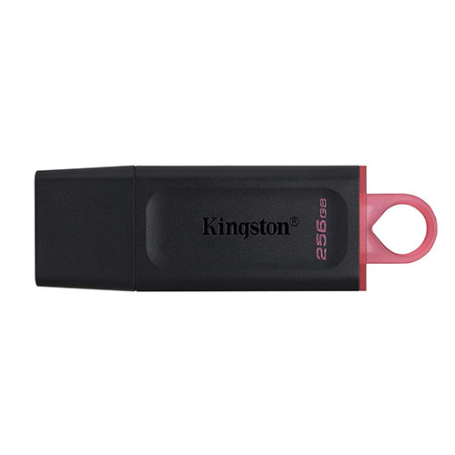 Kingston 256GB Data Traveler Exodia (DTX/256GB)/007549