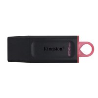 Kingston 256GB Data Traveler Exodia (DTX/256GB)/007549