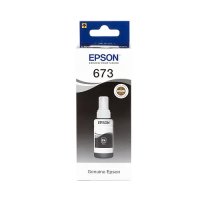 Epson T6731 Black /008308