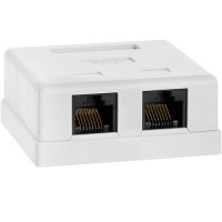 Mount Box 2Port RJ45 Cat5e Unshielded